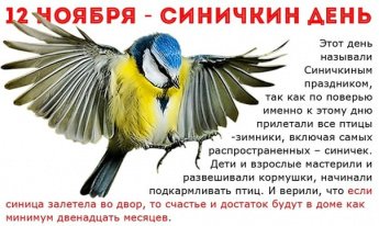 Синичкин день: забота о пернатых друзьях