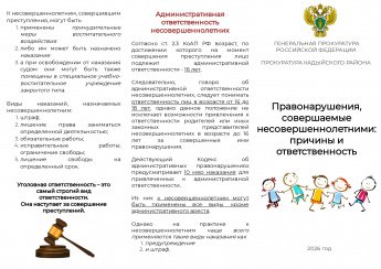 Правонарушения, совершаемые несовершеннолетними: причины и ответственность
